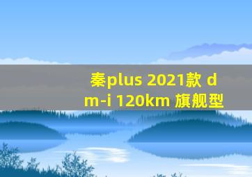 秦plus 2021款 dm-i 120km 旗舰型